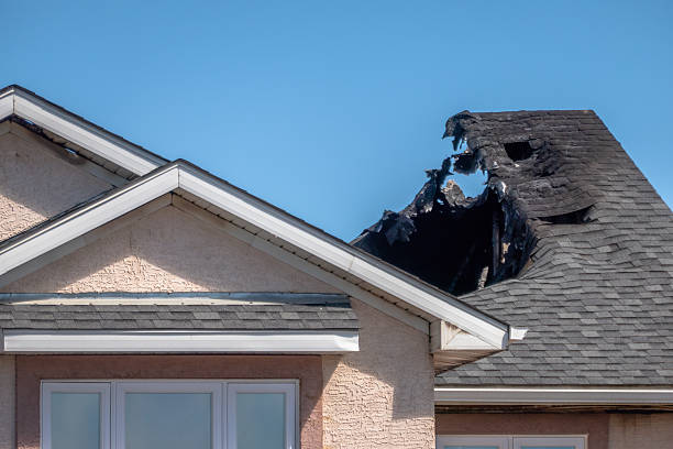 Top rated local Odor Removal specialists in Adamstown, MD